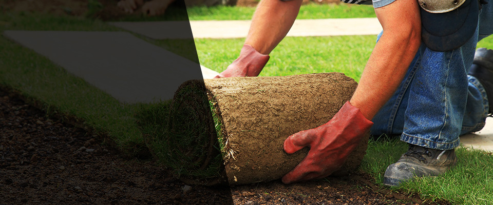 Sunset Beach Landscapers